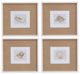 Bassett Mirror 4-Piece Neutral Shell Fresco Framed Print Set-0