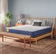 Sealy® Golden Elegance Wyatt 7" Foam Medium Tight Top Twin XL Mattress-1