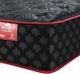 Springwall® True North Chiropractic® Anniversary 2-Sided 13" Wrapped Coil Firm Tight Top Twin Mattress in a Box-1