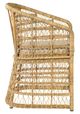 Furniture Classics Calhoun Brown Dining Arm Chair-2