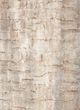 Nourison Home™ Dreamy Shag 5'x7' Style 10 Area Rug-1