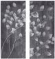 Olliix by Madison Park Grey Branches 2 Piece Reclaimed Grey Print on Wood with Handpaint Set-0