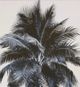 Stylecraft Black/Light Gray Wall Art-1