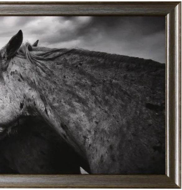 Stylecraft Wild Horses Framed Print-1