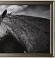 Stylecraft Wild Horses Framed Print-1