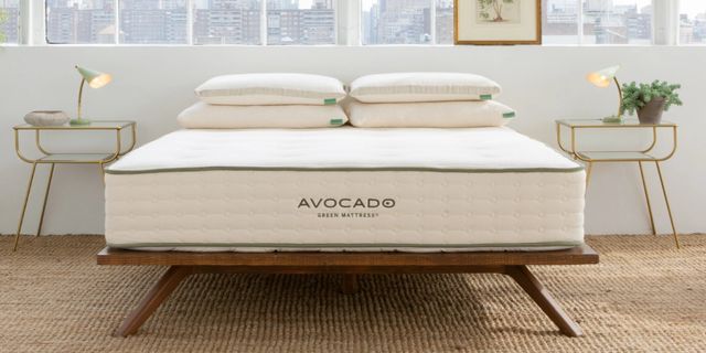 Avocado Molded Latex Medium Firm Queen Pillow-SFPAVASNOVGLAT-MQPL-5
