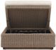 Four Hands Lorelei Alessi Buff Wooden/Woven Outdoor Chaise-4