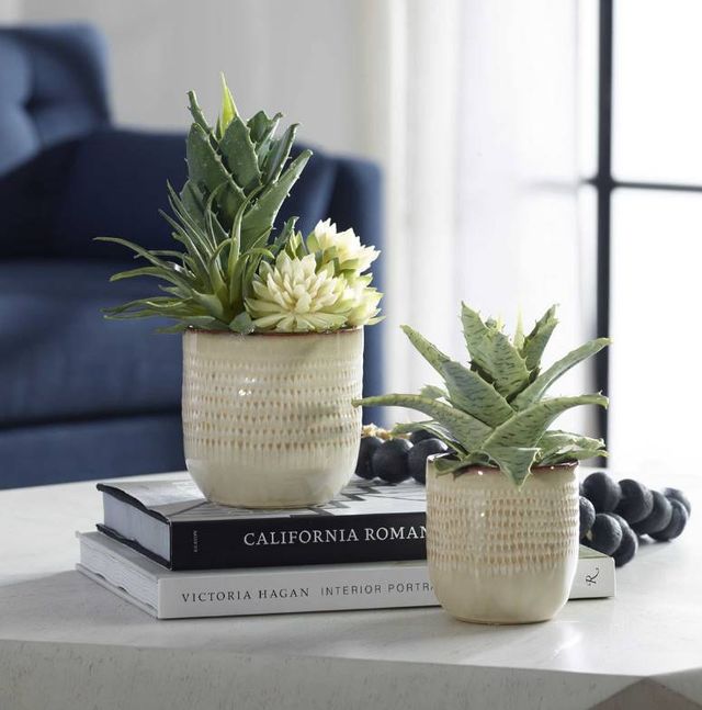 Uttermost® Seaside 2-Piece Neutral Tan Succulents Set-1