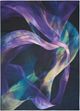 Nourison Home™ Nourison Washables NWB16 5'x7' Style 2 Area Rug-0