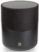 Bluesound PULSE M Black Wireless Multi-Room Streaming Speaker-0