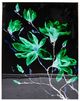 A & B Home Black/Green Vintage Glamour Wall Art-1