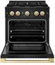 ZLINE Marino 30" Black Stainless Steel Pro Style Dual Fuel Range with Polished Gold Accents-1