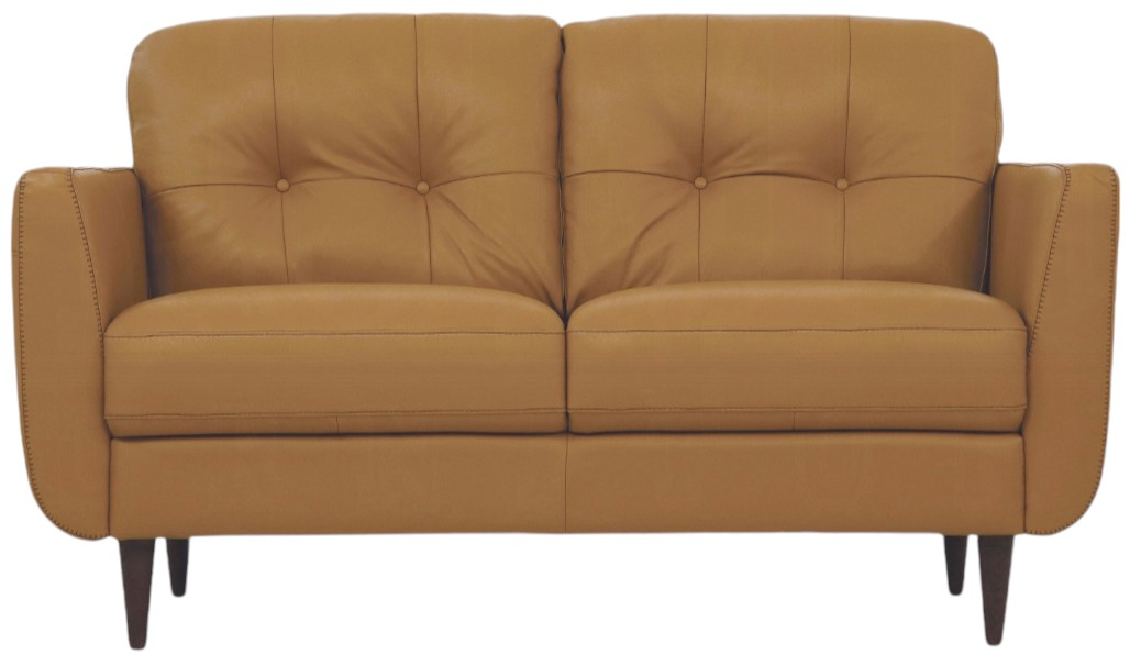 Acme Furniture Radwan Loveseat