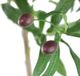 A & B Home Green 42.5" Artificial Olive Tree with Fruit-2
