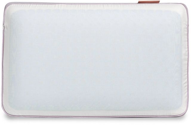 DreamFit® DreamComfort™ Max Memory Foam Standard/Queen Pillow-0
