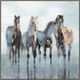 Classy Living Outspoken Equine Grace I Wall Art-0