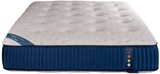 Spring Air® Four Seasons Deer Valley 14" Wrapped Coil Firm Tight Top Queen Mattress-2