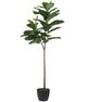 A & B Home Green 25.5" Artificial Fiddle-Leaf Fig Tree-0