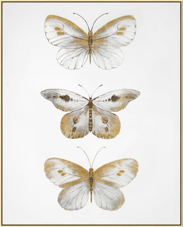 Classy Living Golden Trio Butterfly Study Wall Art-0