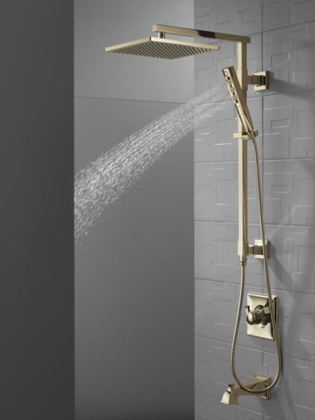 Delta Dryden® Monitor® 17 Series Polished Nickel Valve Trim Only-3