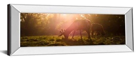 Classy Art Morning Haze by Joe Reynolds Mirror Framed Wall Art-1