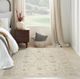 Nourison Home™ Shadows Ivory 5'x7' Area Rug-5