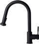 ZLINE Autograph Edition Matte Black Monet Pull Down Single Handle Kitchen Faucet-1
