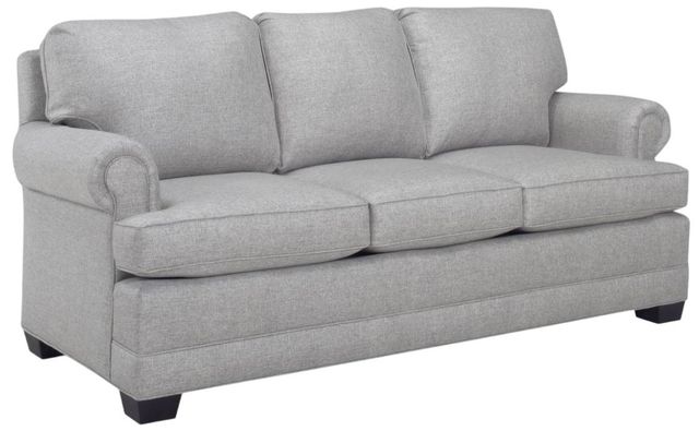 Temple Furniture Customizable Brunswick Sleeper Sofa-0