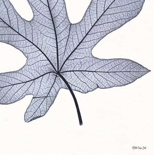 Classy Art Indigo Nature Study III by Stellar Design Studio Wall Art-2