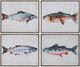 Crestview Collection Swimming School 4-Piece Wall Art Set-0