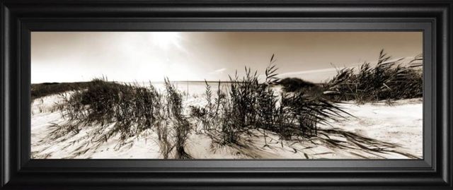 Classy Art The Wind In The Dunes l by Noah Bay Wall Art-0