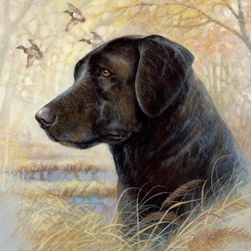 Classy Art Devoted Friend by Ruane Manning Wall Art-1