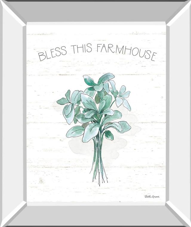 Classy Art Farmhouse Cotton VI by Beth Grove Mirror Framed Wall Art-0