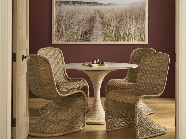 Universal Explore Home™ Oasis Barley Dining Chair -1