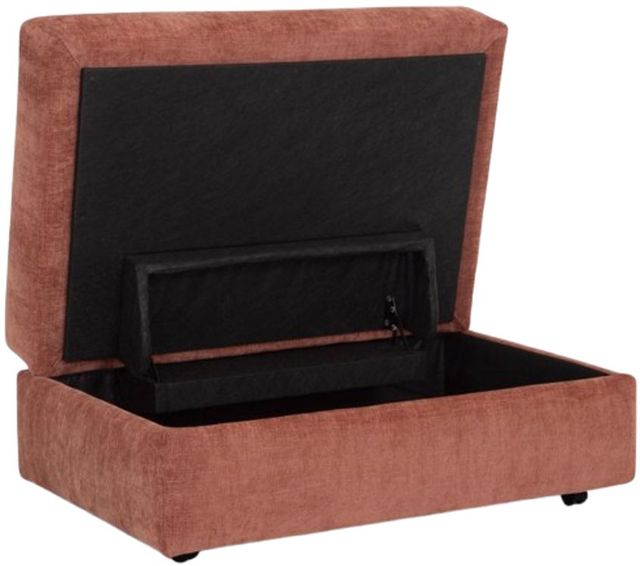 Franklin™ Dahlia Saganaga Canyon Storage Ottoman-2