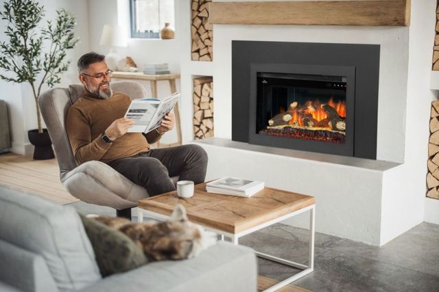 Napoleon Rosedale™ 2 Series 26'' Black Insert Electric Fireplace-3