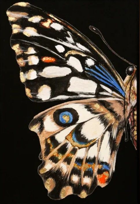 Stylecraft 2-Piece Custom Stand Butterfly Wall Art Set-1