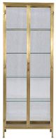 Dovetail Furniture Arnel Brass Cabinet-1