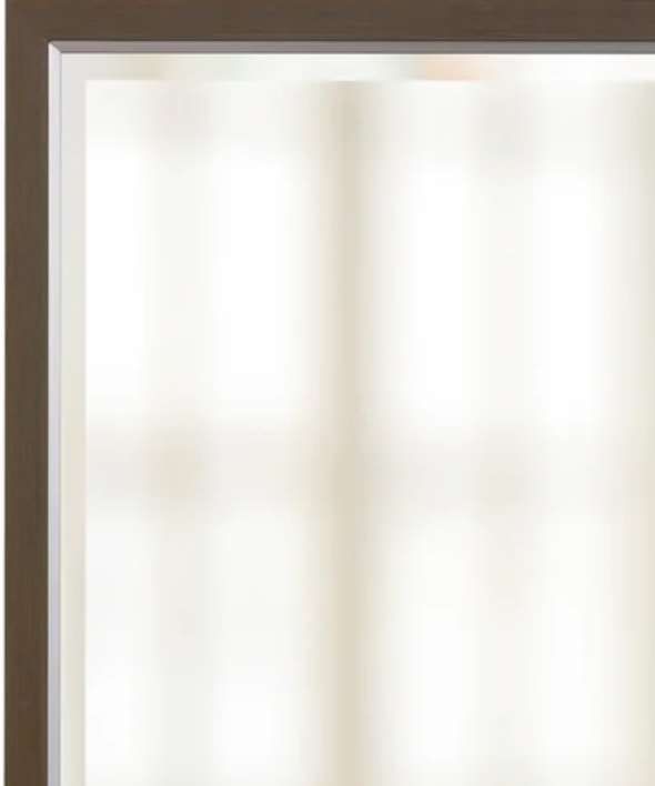 Stylecraft Brown/Chrome Framed Beveled Mirror-1