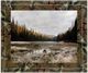 Classy Living Andrew Geiger Reflecting Nature Wall Art-0