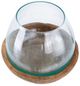 A & B Home 2-Piece Brown/Clear Teak and Glass Bowl Set-1