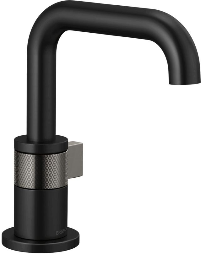 Brizo Litze® Brilliance® Luxe Steel®/Matte Black Single-Handle Lavatory-0