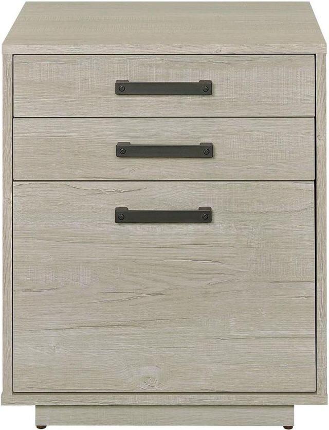 Coaster® Loomis Whitewashed Grey File Cabinet-2