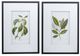 A & B Home 2-Piece Black/Green/White Wall Art Set-0