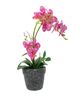 A & B Home Pink Real Touch Vanda Orchid with Cement Pot-2