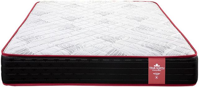 Springwall® Champlain Wrapped Coil Firm Full Mattress-2