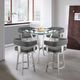 Armen Living Naomi and Lorin 5-Piece Brushed Stainless Steel/Clear/Gray Counter Dining Set-1