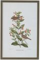 A & B Home 4-Piece Brown/Green Bird Wall Art Set-2