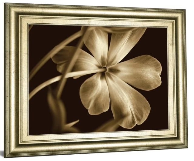 Classy Art Copper/Gold Bella By Adrian Jendrasik Wall Art-0