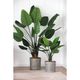 A & B Home Southern Living 3-Piece Iron Planter Set-1